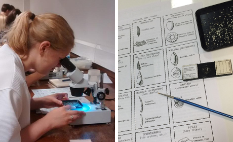 Identifying Microfossils at the Natural History Museum